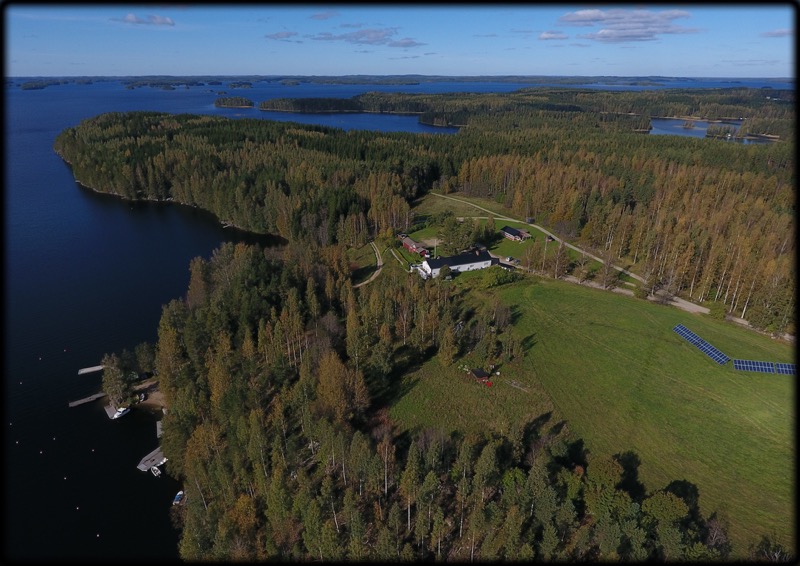 a unique holiday in Saimaa - TYNKKYLÄN LOMANIEMI